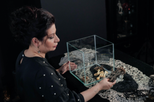 Империя сильнейших ведьм - лохотрон?