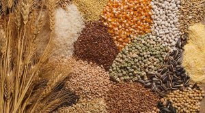 Как выбрать качественные сельскохозяйственные семена: советы и рекомендации