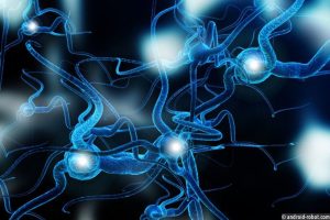 Что такое метавселенная? ЕЕ значение и особенности